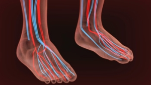 Poor Circulation Effects on Feet